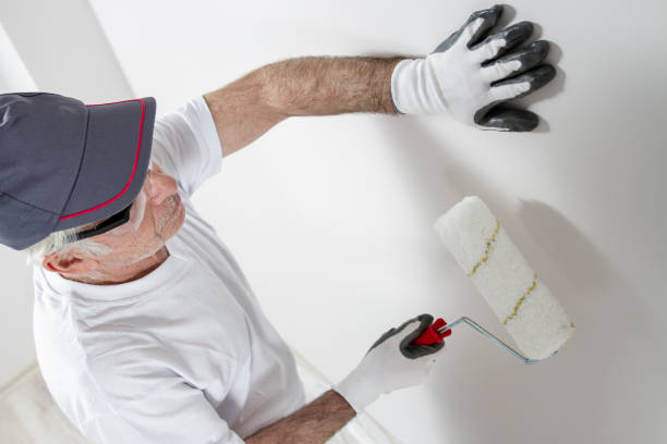 Townsend, DE Mold Removal Company