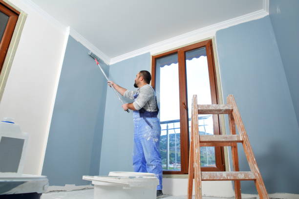 Forensic Mold Investigation in Townsend, DE