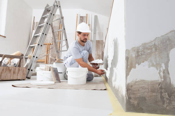 Best Residential Mold Inspection & Testing  in Townsend, DE