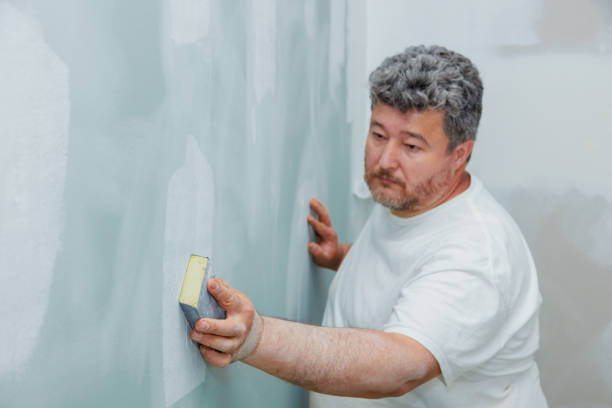 Best Environmental Consulting for Mold Prevention  in Townsend, DE