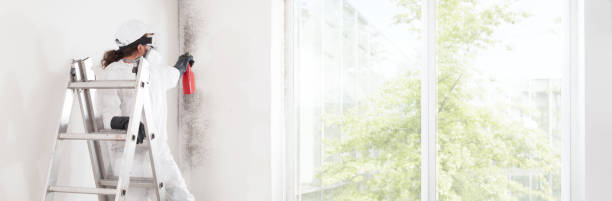 Best Forensic Mold Investigation  in Townsend, DE