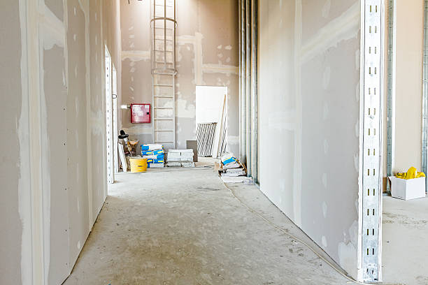 Best Comprehensive Air Testing for Mold Contaminants  in Townsend, DE